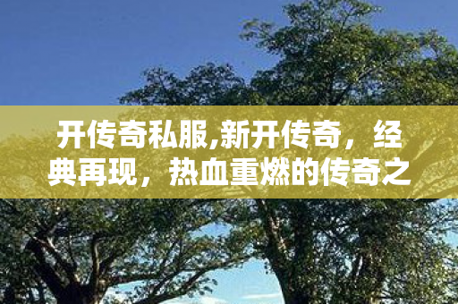 开传奇私服,新开传奇，经典再现，热血重燃的传奇之旅
