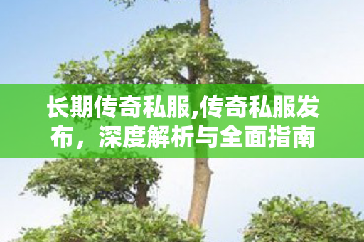 长期传奇私服,传奇私服发布，深度解析与全面指南