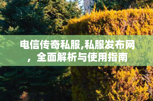 电信传奇私服,私服发布网，全面解析与使用指南