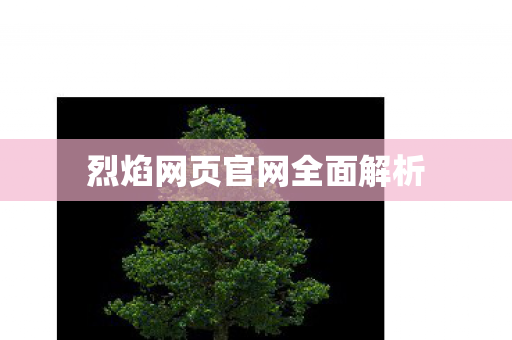 烈焰网页官网全面解析