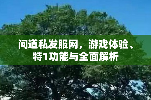 问道私发服网，游戏体验、特1功能与全面解析