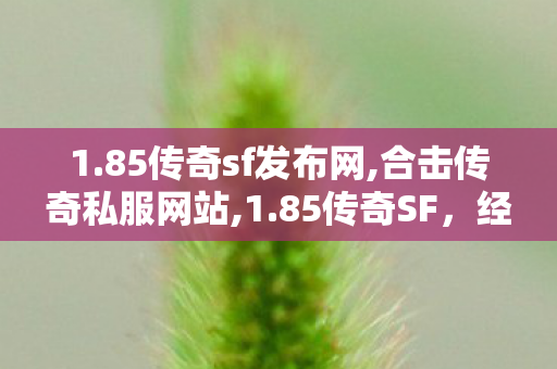 1.85传奇sf发布网,合击传奇私服网站,1.85传奇SF，经典重现，传奇再续