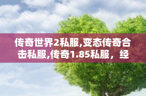 传奇世界2私服,变态传奇合击私服,传奇1.85私服，经典重现，玩家心中的传奇之旅