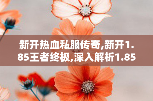 新开热血私服传奇,新开1.85王者终极,深入解析1.85版传奇私服游戏特点与玩法
