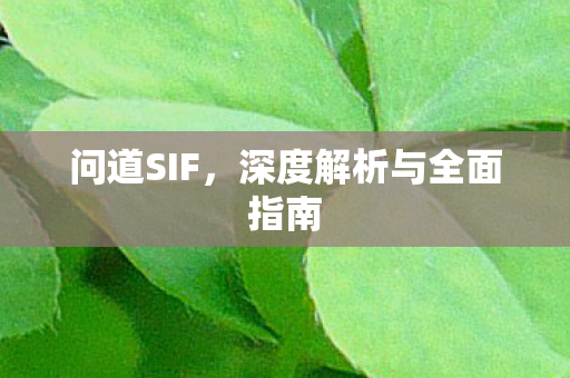 问道SIF，深度解析与全面指南