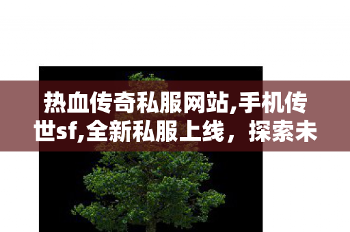 热血传奇私服网站,手机传世sf,全新私服上线，探索未知的冒险之旅
