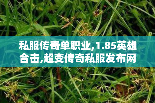 私服传奇单职业,1.85英雄合击,超变传奇私服发布网，游戏私服的1与1责任