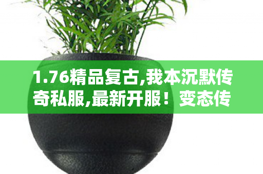 1.76精品复古,我本沉默传奇私服,最新开服！变态传奇私服，重温经典游戏体验