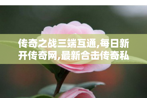 传奇之战三端互通,每日新开传奇网,最新合击传奇私服揭秘，游戏体验与安全并重