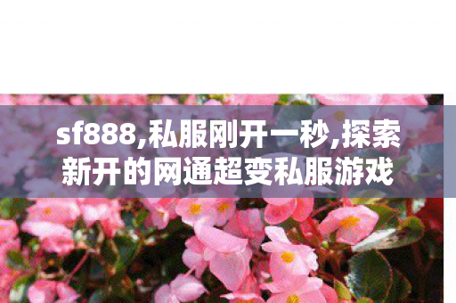 sf888,私服刚开一秒,探索新开的网通超变私服游戏