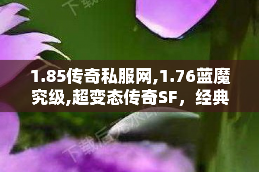 1.85传奇私服网,1.76蓝魔究级,超变态传奇SF，经典重现，热血传奇的永恒传奇