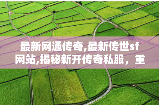 最新网通传奇,最新传世sf网站,揭秘新开传奇私服，重温经典传奇游戏—— 探索未知的冒险世界