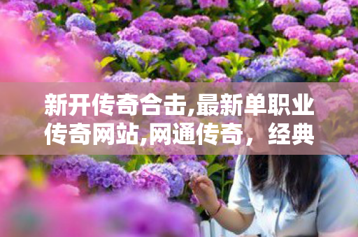 新开传奇合击,最新单职业传奇网站,网通传奇，经典再现，热血重燃