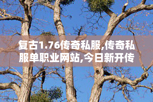 复古1.76传奇私服,传奇私服单职业网站,今日新开传奇sf，经典重现，热血传奇再续