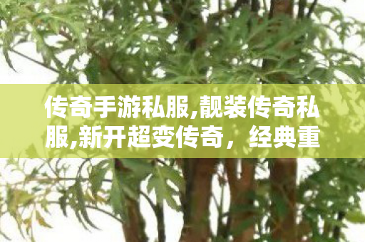 传奇手游私服,靓装传奇私服,新开超变传奇，经典重现，热血再燃！