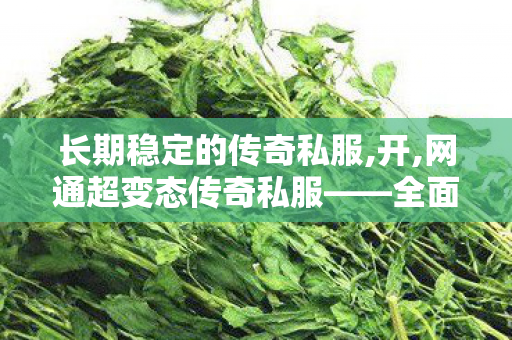 长期稳定的传奇私服,开,网通超变态传奇私服——全面解析与详细介绍