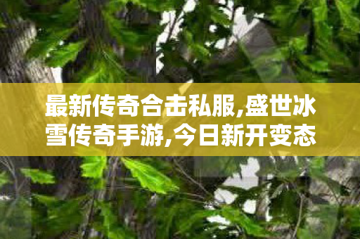 最新传奇合击私服,盛世冰雪传奇手游,今日新开变态私服，带你体验不一样的游戏世界