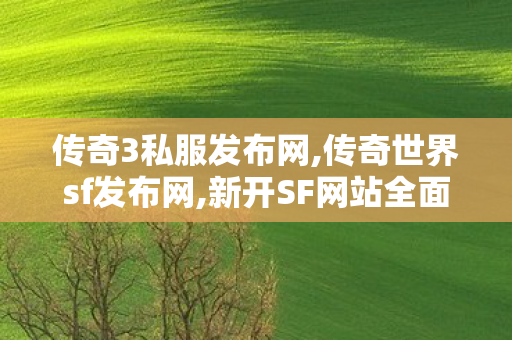 传奇3私服发布网,传奇世界sf发布网,新开SF网站全面解析，从入门到精通的详细指南