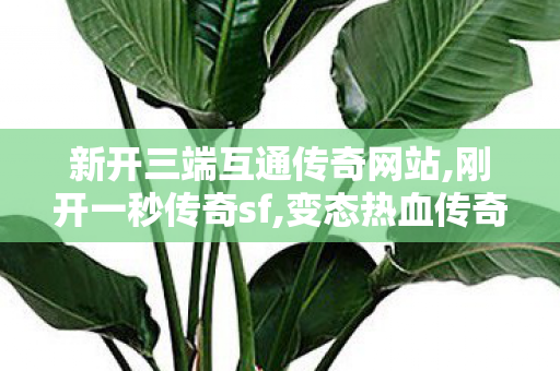 新开三端互通传奇网站,刚开一秒传奇sf,变态热血传奇私服，游戏世界中的1行为