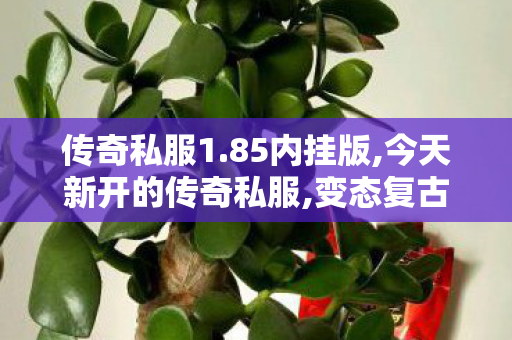 传奇私服1.85内挂版,今天新开的传奇私服,变态复古传奇私服，经典重温，热血重燃