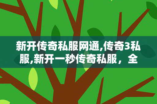 新开传奇私服网通,传奇3私服,新开一秒传奇私服，全面解析与注意事项