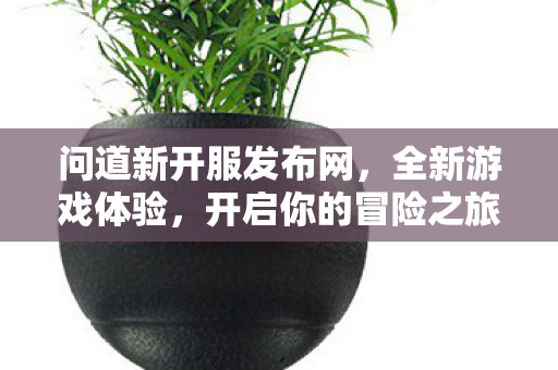 问道新开服发布网，全新游戏体验，开启你的冒险之旅