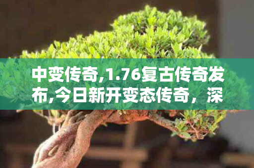 中变传奇,1.76复古传奇发布,今日新开变态传奇，深度解析与全面介绍