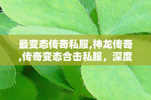 最变态传奇私服,神龙传奇,传奇变态合击私服，深度解析与全面了解