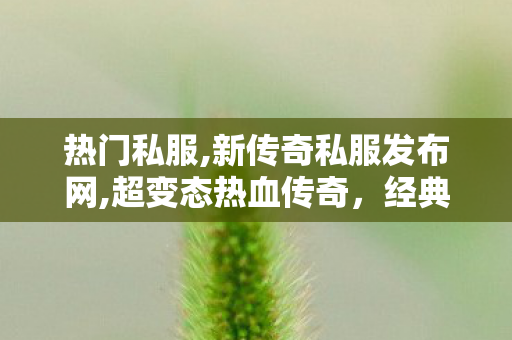 热门私服,新传奇私服发布网,超变态热血传奇，经典传奇游戏深度解析与攻略指南