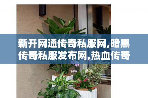 新开网通传奇私服网,暗黑传奇私服发布网,热血传奇SF网站，经典重现，传奇永恒的战斗之旅