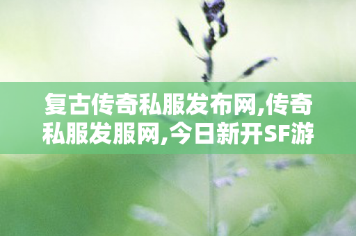 复古传奇私服发布网,传奇私服发服网,今日新开SF游戏体验指南，全面解析、玩法详解与新手攻略