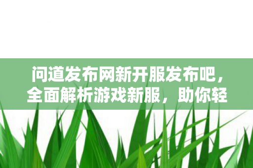 问道发布网新开服发布吧，全面解析游戏新服，助你轻松开启问道之旅
