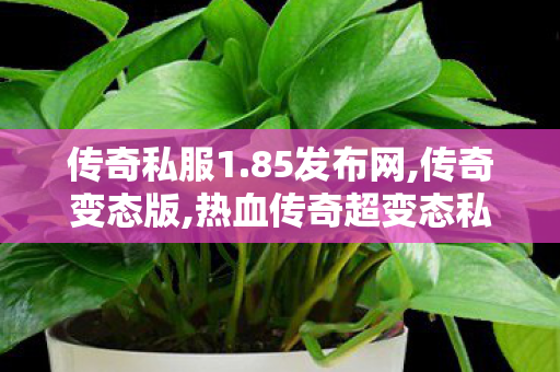 传奇私服1.85发布网,传奇变态版,热血传奇超变态私服——传奇游戏体验的全新升级