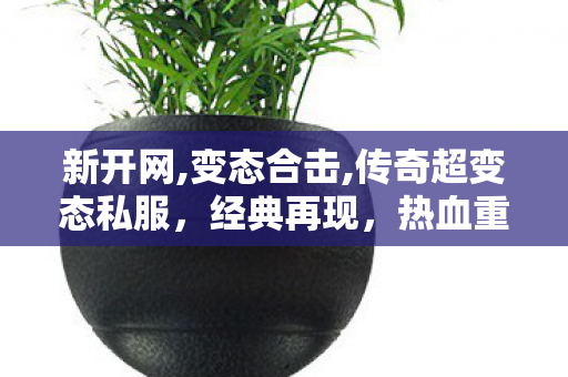新开网,变态合击,传奇超变态私服，经典再现，热血重燃