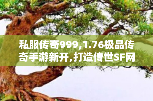 私服传奇999,1.76极品传奇手游新开,打造传世SF网站，全面解析与SEO优化策略