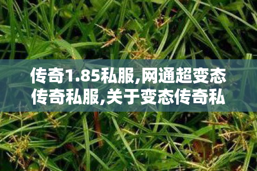 传奇1.85私服,网通超变态传奇私服,关于变态传奇私发布网的全面解析