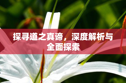 探寻道之真谛，深度解析与全面探索
