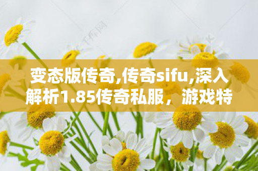 变态版传奇,传奇sifu,深入解析1.85传奇私服，游戏特点、1与防范措施