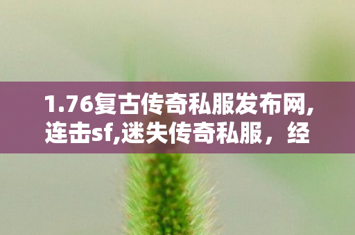 1.76复古传奇私服发布网,连击sf,迷失传奇私服，经典重现，探索未知的冒险之旅