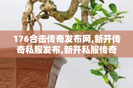 176合击传奇发布网,新开传奇私服发布,新开私服传奇，经典重现，热血再燃！