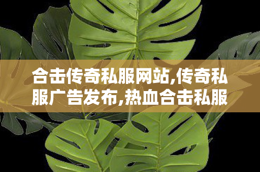 合击传奇私服网站,传奇私服广告发布,热血合击私服传奇，经典重现，热血激战无止境