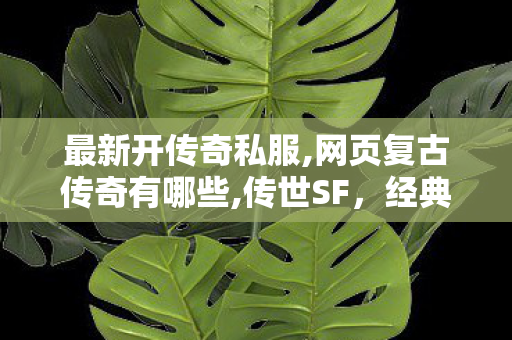 最新开传奇私服,网页复古传奇有哪些,传世SF，经典游戏的不朽传奇