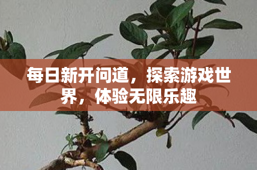 每日新开问道，探索游戏世界，体验无限乐趣