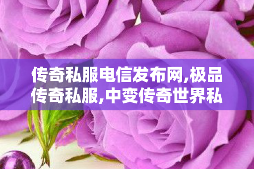 传奇私服电信发布网,极品传奇私服,中变传奇世界私服，游戏体验与11并存