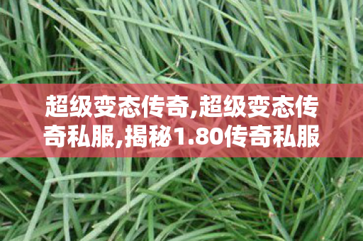 超级变态传奇,超级变态传奇私服,揭秘1.80传奇私服发布网，游戏玩家必知的安全与1