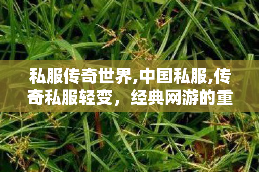 私服传奇世界,中国私服,传奇私服轻变，经典网游的重生与魅力探索