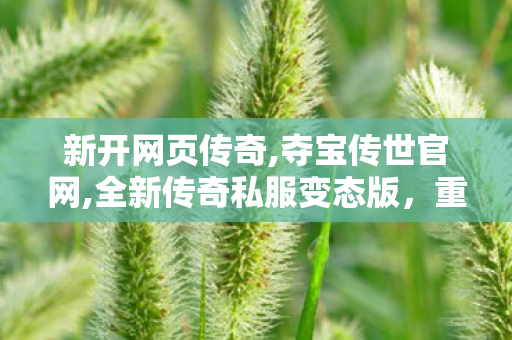 新开网页传奇,夺宝传世官网,全新传奇私服变态版，重燃热血传奇梦！
