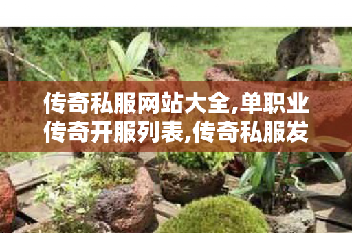 传奇私服网站大全,单职业传奇开服列表,传奇私服发布网1.76，经典再现，重温传奇岁月