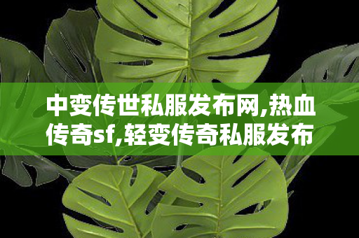 中变传世私服发布网,热血传奇sf,轻变传奇私服发布网，全面解析与合法合规指南