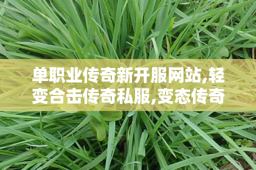 单职业传奇新开服网站,轻变合击传奇私服,变态传奇新服网，经典传奇游戏体验的全新篇章